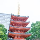 고색여관 | 혼자서 떠나는 일본 여행 후쿠오카 갔다왔던 후기