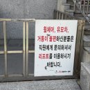 세양식품 | <광주> 광주 콩물국수 맛집 두암동 무등콩물 웨이팅 필수 찐 로컬 맛집