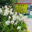 삼육사로19 이미지