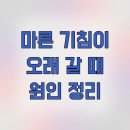 ACE동물병원 | 마른 기침이 오래 갈 때 원인 정리