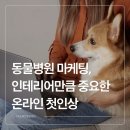 담은동물병원 | 동물병원 마케팅, 인테리어만큼 중요한 온라인 첫인상