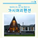 가시머리펜션 | 평창 대관령 숙소 가시머리펜션 양떼목장 근처 독채펜션션
