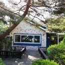 평창물소리펜션 | [평창펜션 후기] 흥정계곡 바로 앞 벤치하우스에서 힐링 가득한 하루 보냈지요