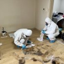 구리시청 이미지