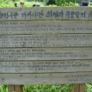 정의2리 이미지