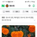 망마보조경기장 이미지