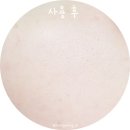 오투엘 이미지