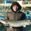 어구낚시 (주)거제타임즈