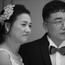 동백꽃사진관