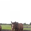 제주나그네 이미지