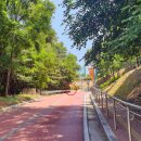 노루목길1 이미지