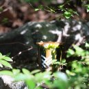 나들이 가기 좋은 신상 근교 카페 이미지