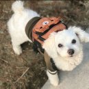 개스타일 이미지