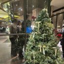 bcc 킹덤 이미지