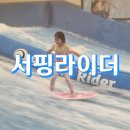 서핑라이더