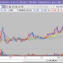 짝꿍댕이 이미지