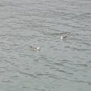 리브하임스파 이미지