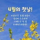 4월의 첫날...!! 이미지