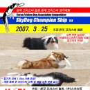 2007. 3. 25 춘계 프리스비 경기대회 (가보세요~) 이미지