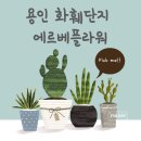 러브앤드머니 | 용인 남사 화훼단지 에르베플라워아울렛 방문 후기