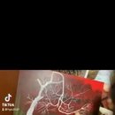 JH STORY(스토리)