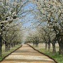 대운주유소 이미지