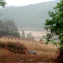 깊은샘블루베리농장 이미지