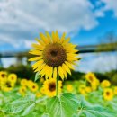 자자고콘도텔 이미지