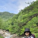꿈의 조각들을 모으 | 용이 머물었던 지리산 대원사계곡