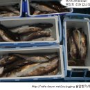 여주-0071 이미지