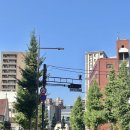 왓쇼이이짱 | 기타큐슈 축제 왓쇼이 마츠리 마지막날 구경하기