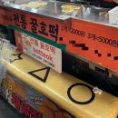 호시탐탐광장 네이버블로그