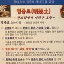 프라임 노다지 사우나 이미지