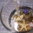 마타보라