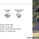 리움 동물의료센터 이미지