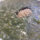 본죽(시청점) 이미지