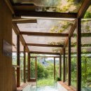 소토소토 이미지