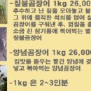 원조짚불곰장어기장외가집