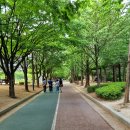 금호공원 앞 횡단보도 이미지