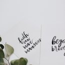 믿음약품 이미지