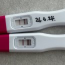 [경북/예천] 신혼부부 조용한 프라이빗 감성 숙소 '오늘스테이' 후기