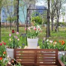 식물원 강아지 이미지