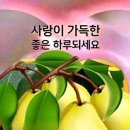 오늘은좋은날