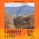 산이랑물이랑 | 니가타 가을 단풍 명소 나에바 산 드래곤돌라 요금 탑승후기