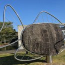 도립미술관 이미지