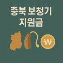 벨톤보청기충주지사 | 청력 걱정 끝! 충청북도 보청기 지원금 받는 법 A to Z