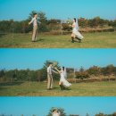 [결혼준비] 웨딩스냅, 커플스냅, 야외스냅, 반려견스냅(서록)_내돈내산_촬영후기