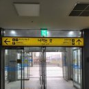 오송읍 행정복지센터 | 오송호수공원 벚꽃 오송역 근처 청주 벚꽃 명소 추천