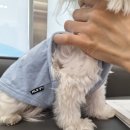 로고스 동물병원 이미지