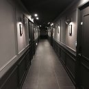 브라운도트1 이미지